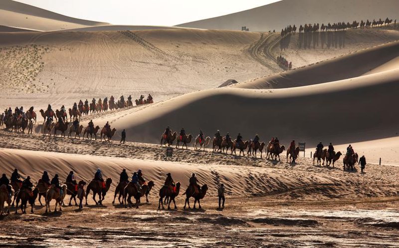 让你的旅行像穿越千年的画卷一样精彩——敦煌旅行社选购指南
